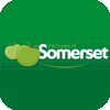 Buses of Somerset